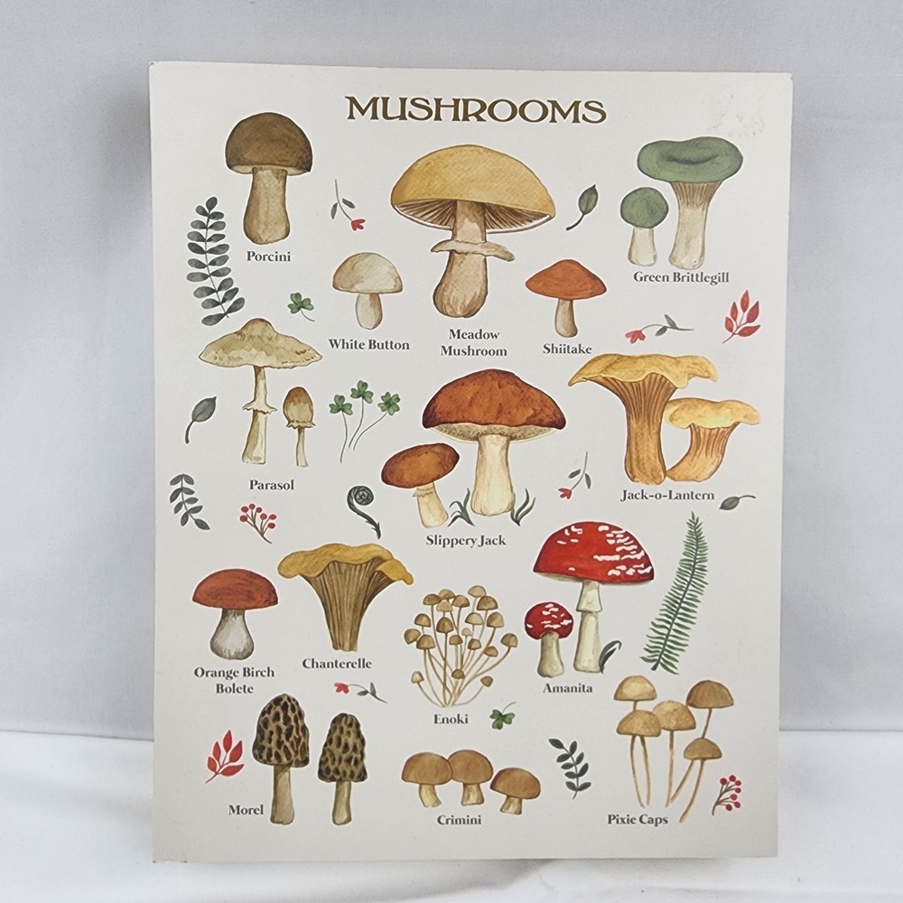 Foraging Mushroom studies‎ Print 2023 Stupell Industries on wood wall hanger